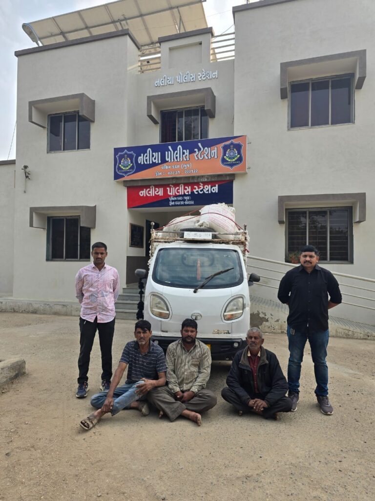 પિયોણી વાડી વિસ્તારમાં થયેલી કપાસની ચોરીમાં ત્રણ ઈસમોની ધરપકડ